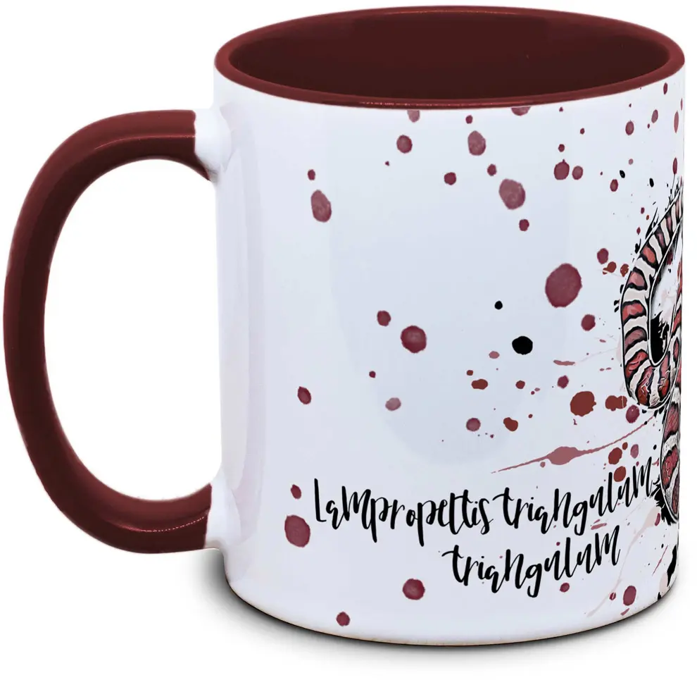 Tasse mit Lampropeltis triangulum triangulum Dreiecksnatter Seitenansicht rechts des Henkels
