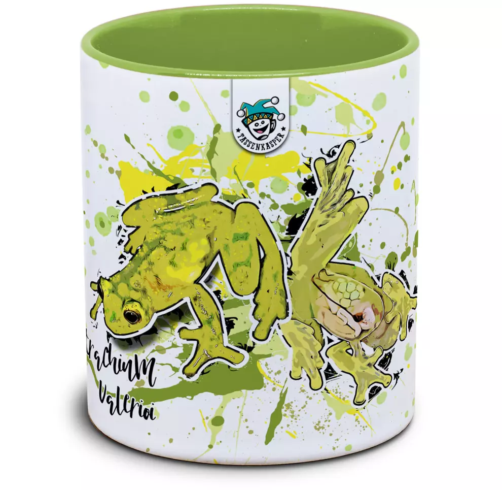 Froschtasse Hyalinobatrachium valerioi - Glasfrosch