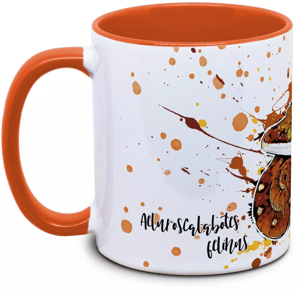 Reptilien Tasse mit Fuchsgesichtgecko Aeluroscalabotes felinusin orange seitlich rechts des Henkels