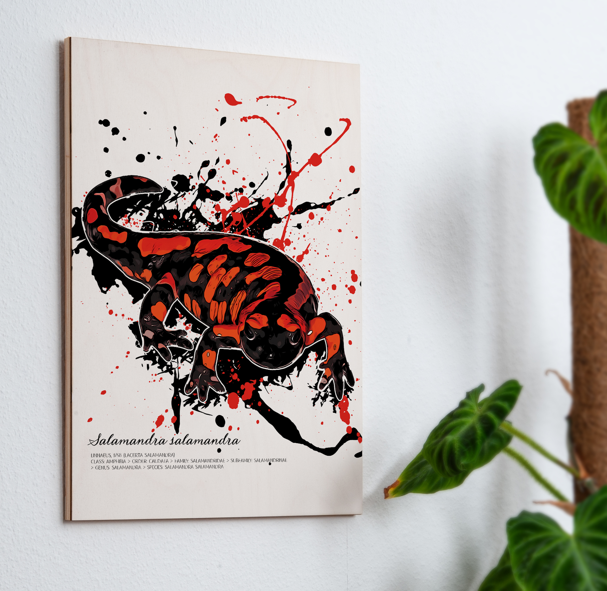 limitiertes Wandbild Feuersalamander Rot - Salamandra Salamandra (auf Holz gedruckt)