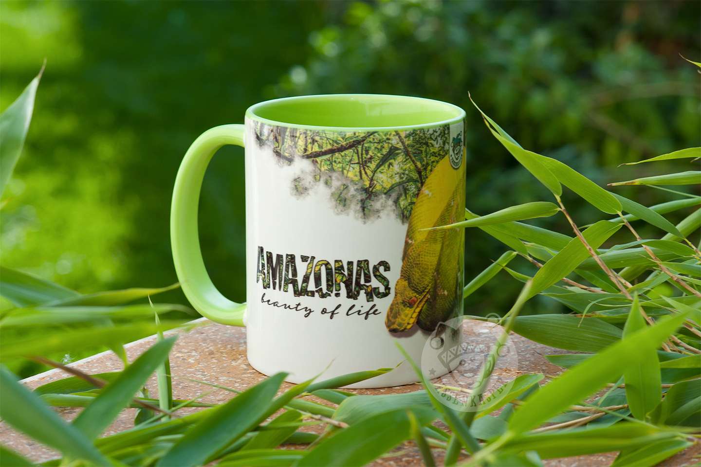 Amazonas-Tasse Corallus caninus