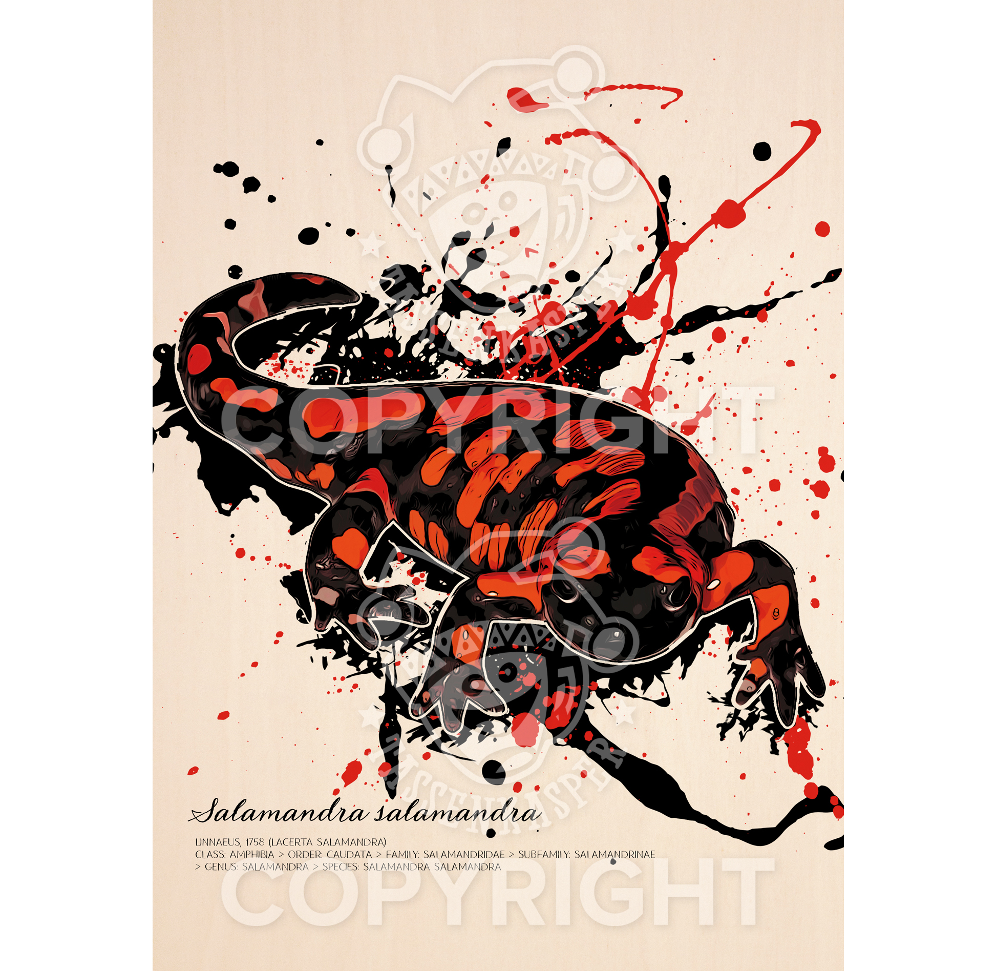 Wandbild Feuersalamander Rot - Salamandra Salamandra (auf Holz gedruckt)