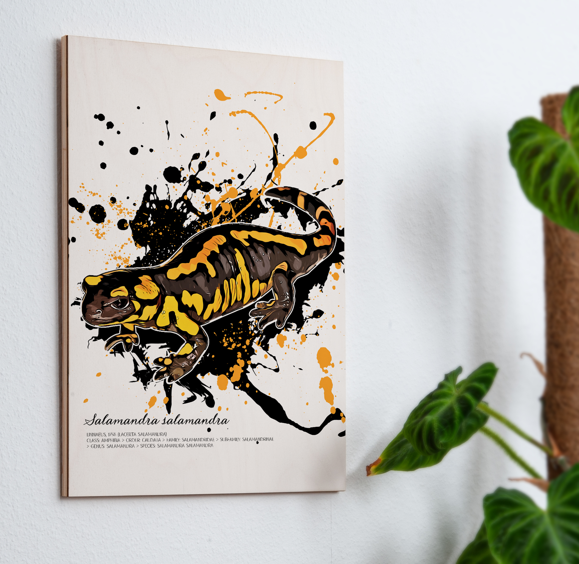 Wandbild Feuersalamander - Salamandra Salamandra (auf Holz gedruckt)